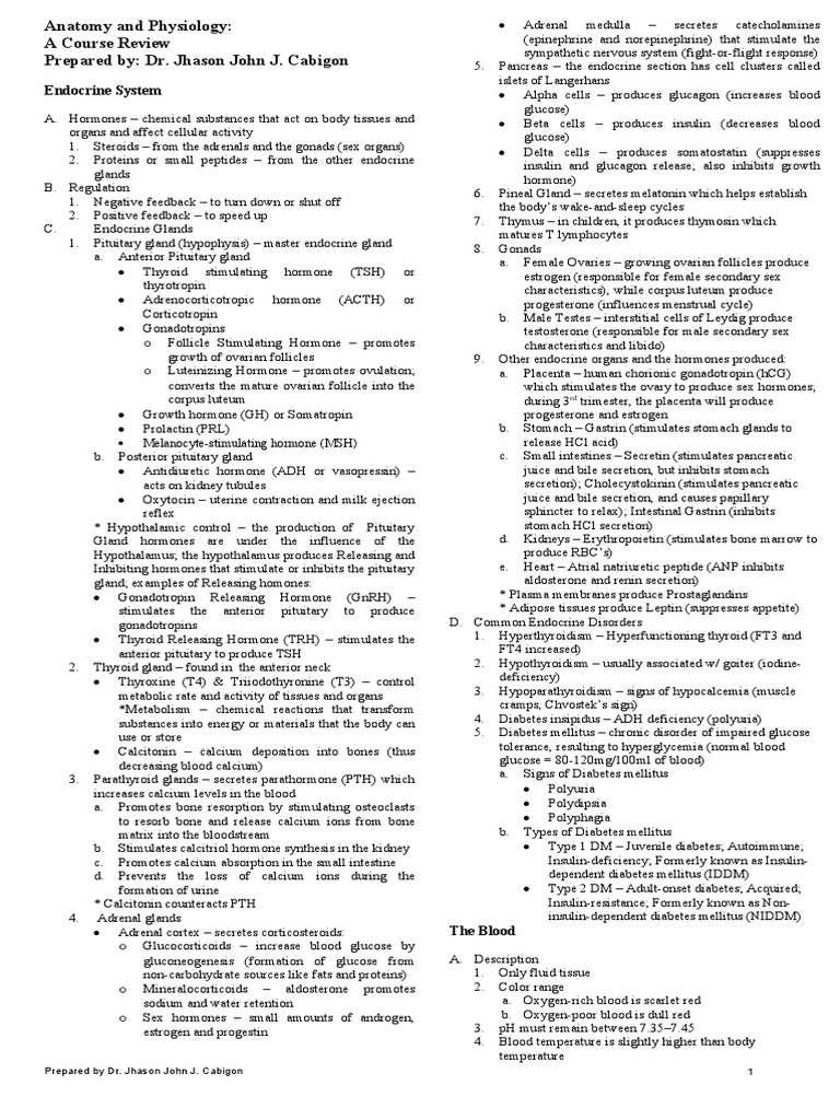 Endocrine System Overview and Disorders | PDF | Heart Valve ...