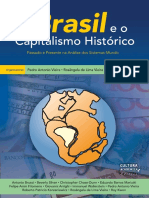 Livro Capitalismo - PDFA.pdf