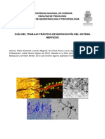 Guia Trabajo Practico Microscopia 2015