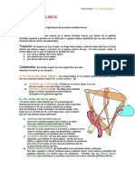 Arteria Oftalmica