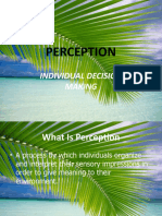 Perception: Individual Decision Making