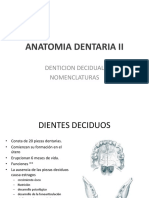 Anatomia Dentaria II