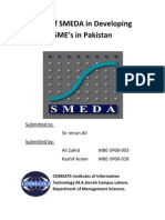 Role of SMEs in Pakistan's Economic Growth