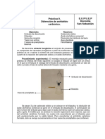 Obtención Del Anhídrido Carbónico