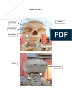 A. Neurocranium: Skeleton Axial Ossa Craniales