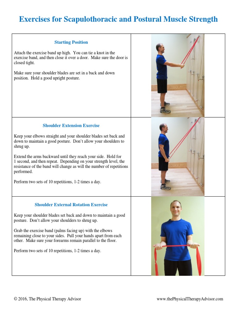 Image showcasing Exercises For Scapulothoracic and Postural Muscle Strength | PDF ...