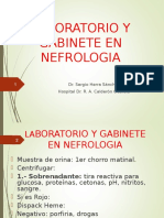 3. Laboratorio y Gabinete en Nefrologia.