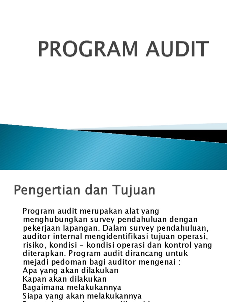 Program Audit: Panduan dan Manfaatnya | PDF