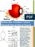 Retina Dan Translasi Sinyal-Sinyal Neural