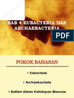 Bab 4. Archaebacteria Dan Eubacteria (Kiki)