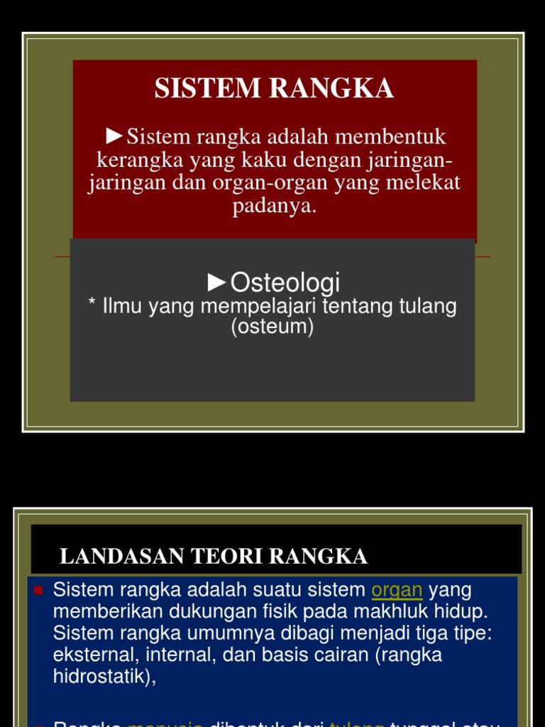 sistem rangka 2 ppt sistem rangka 2 ppt