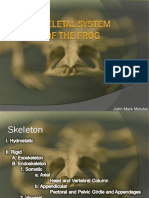 Skeletel Frogs.pdf