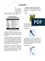 f-hepatica.pdf