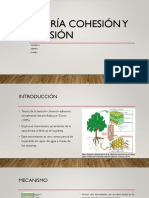 Cohesion y Tension PDF