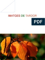 Presentació Imatges Tardor UD2