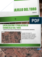 Cuanajillo Del Toro