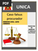 Acto Juridico Caso Falsus