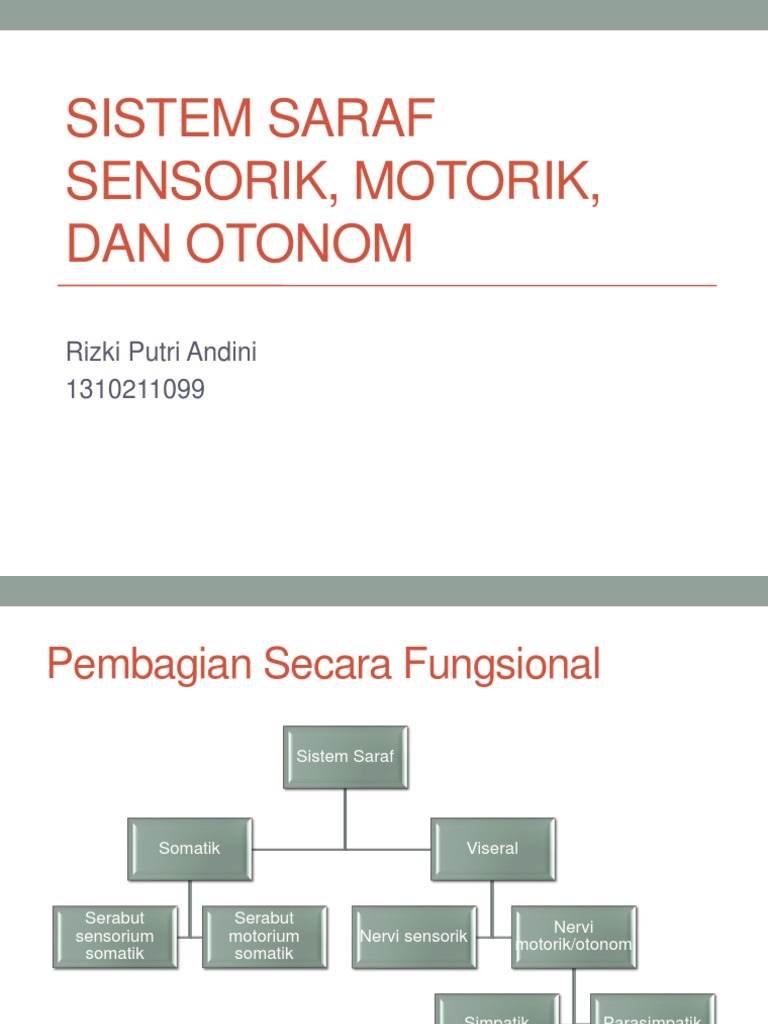 Sistem Saraf Sensorik, Motorik, Dan Otonom | PDF