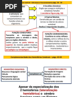 5Cérebro ana  – p.p. 58-81 (1)