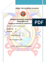 Limite Plastico Informe