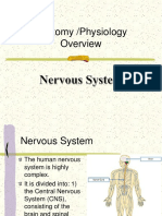 NervousSystem (6) &