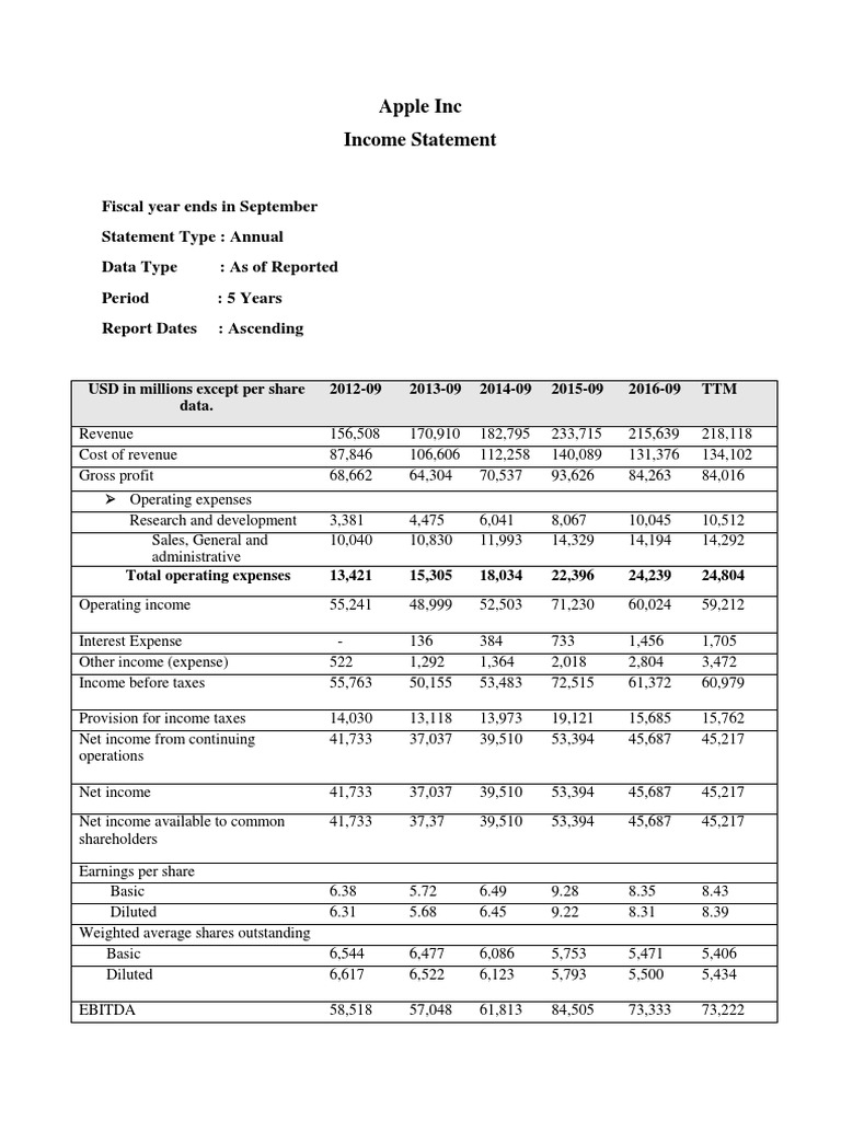 Apple Inc Statement PDF