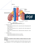 Anatomi Kelenjar Adrenal