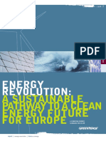 52642392 Energy Revolution a Sustainab
