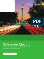 Book Compendiado Schneider 2016.pdf