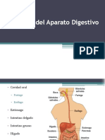 Fisiologc3ada Del Aparato Digestivo