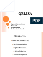 QELIZA