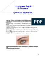 microblading concept.pdf