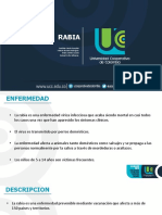 Rabia Salud Publi PDF