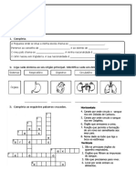 Teste de Estudo Do Meio 3º Ano 1º Periodo