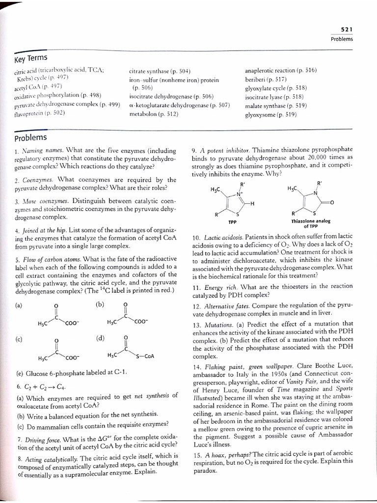 Biochem Qs | PDF