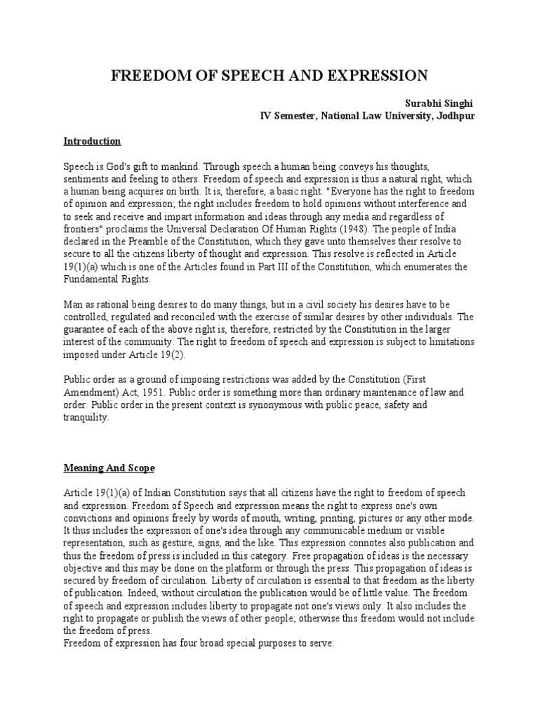 Article 19: Freedom of Speech Explained | PDF | Freedom Of Speech ...