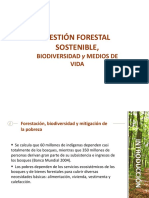 233005506 Gestion Forestal Sostenible Ppt