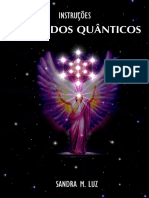 242635094-Instrucoes-Comandos-Quanticos-pdf.pdf