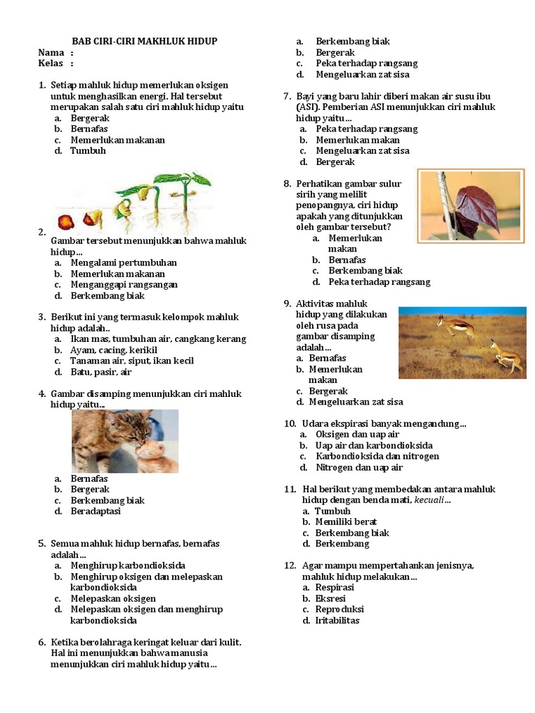 Ciri Makhluk Hidup Yang Ditunjukkan Oleh Gambar Tersebut Ciri Makhluk Hidup Yang Ditunjukkan Oleh Gambar Tersebut