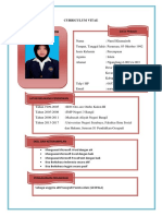 Curriculum Vitae Fix