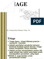 182145375-TRIAGE-ppt.ppt