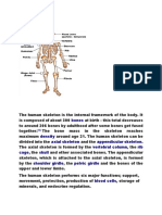 Bones: Skeletal System