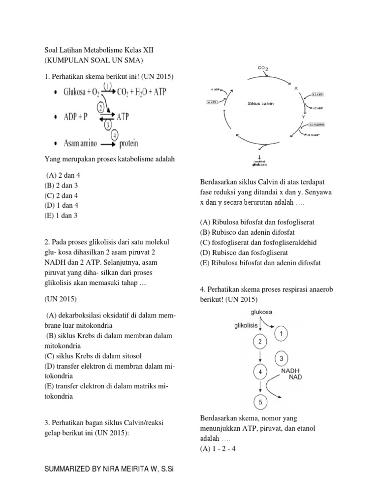 Kumpulan Soal Un Sma Metabolisme Sel Docx