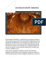 Registros akashicos Grupo Armonia.pdf