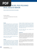 DISFUNCION DEL PISO PELVIANO EN EL ANCIANO.pdf