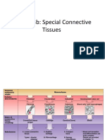 Special CT-Cartilage and Bone