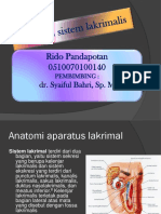 Anatomi Sistem Lakrimalis