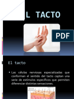 TACTO