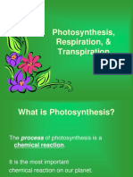 Photocellresp 1