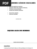 Grandes Si Ndromes Vasculares